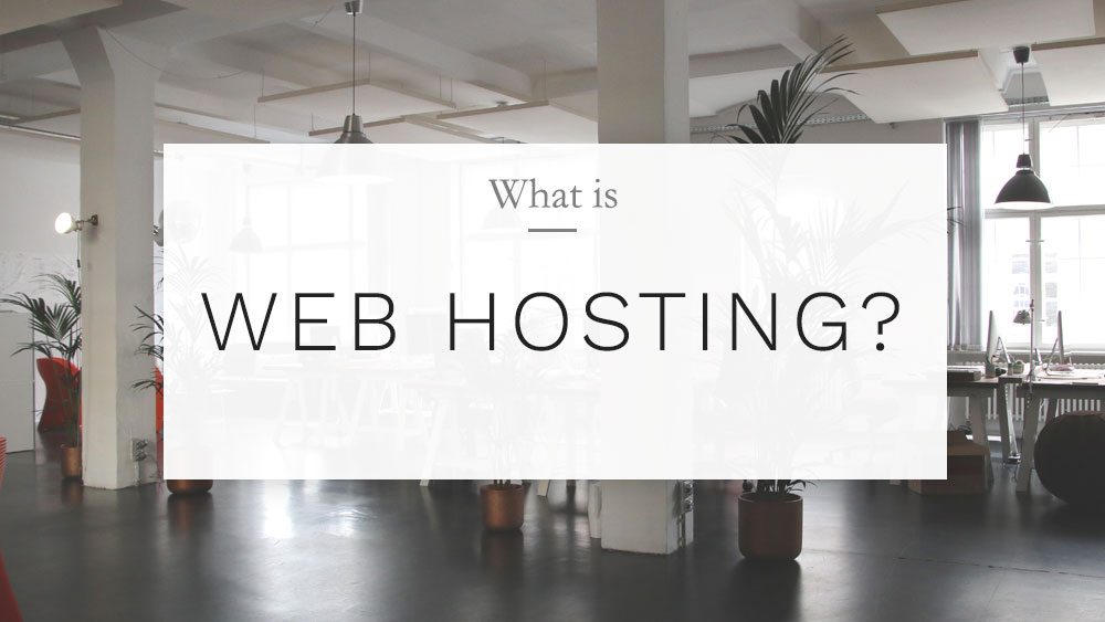 What is web hosting? Best hosting options for WordPress