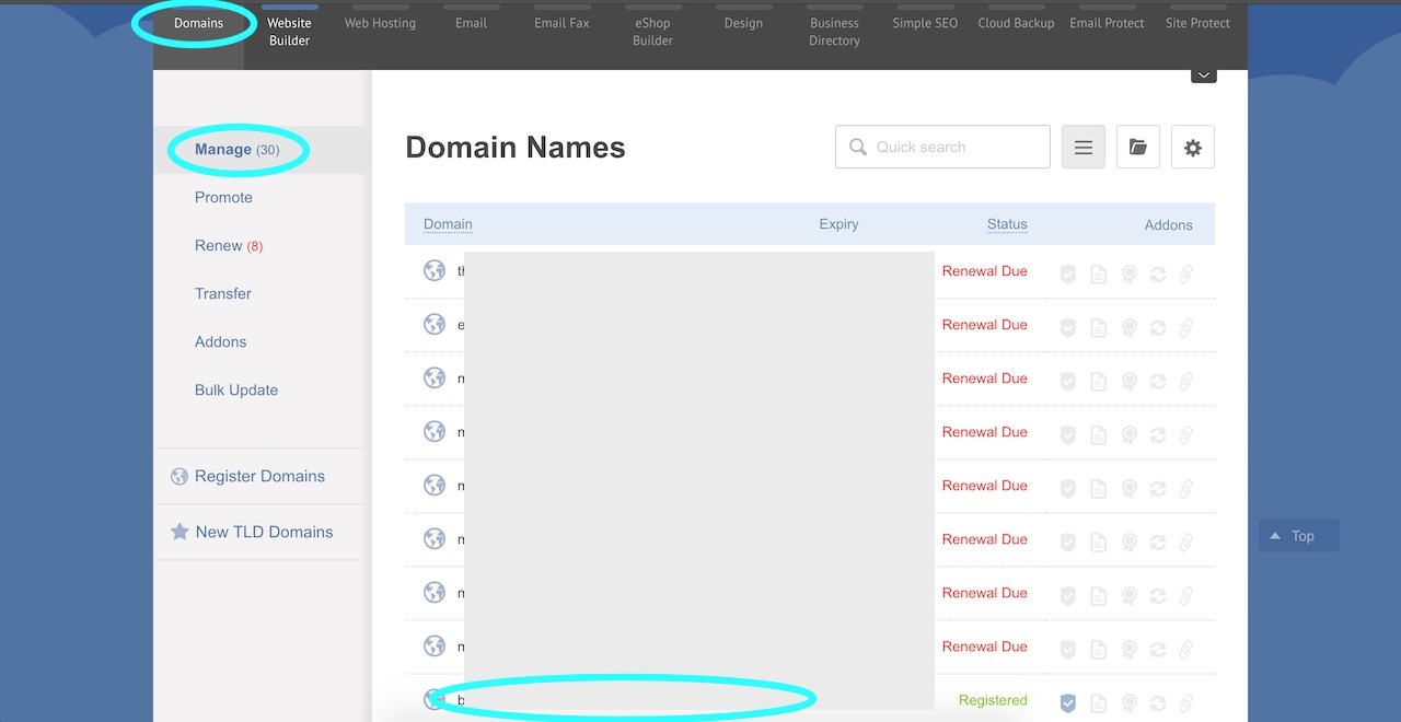 Change nameservers - update dns record step3