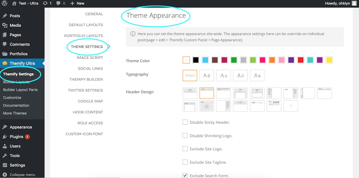 Website theme appearance settings - Ultra WordPress theme