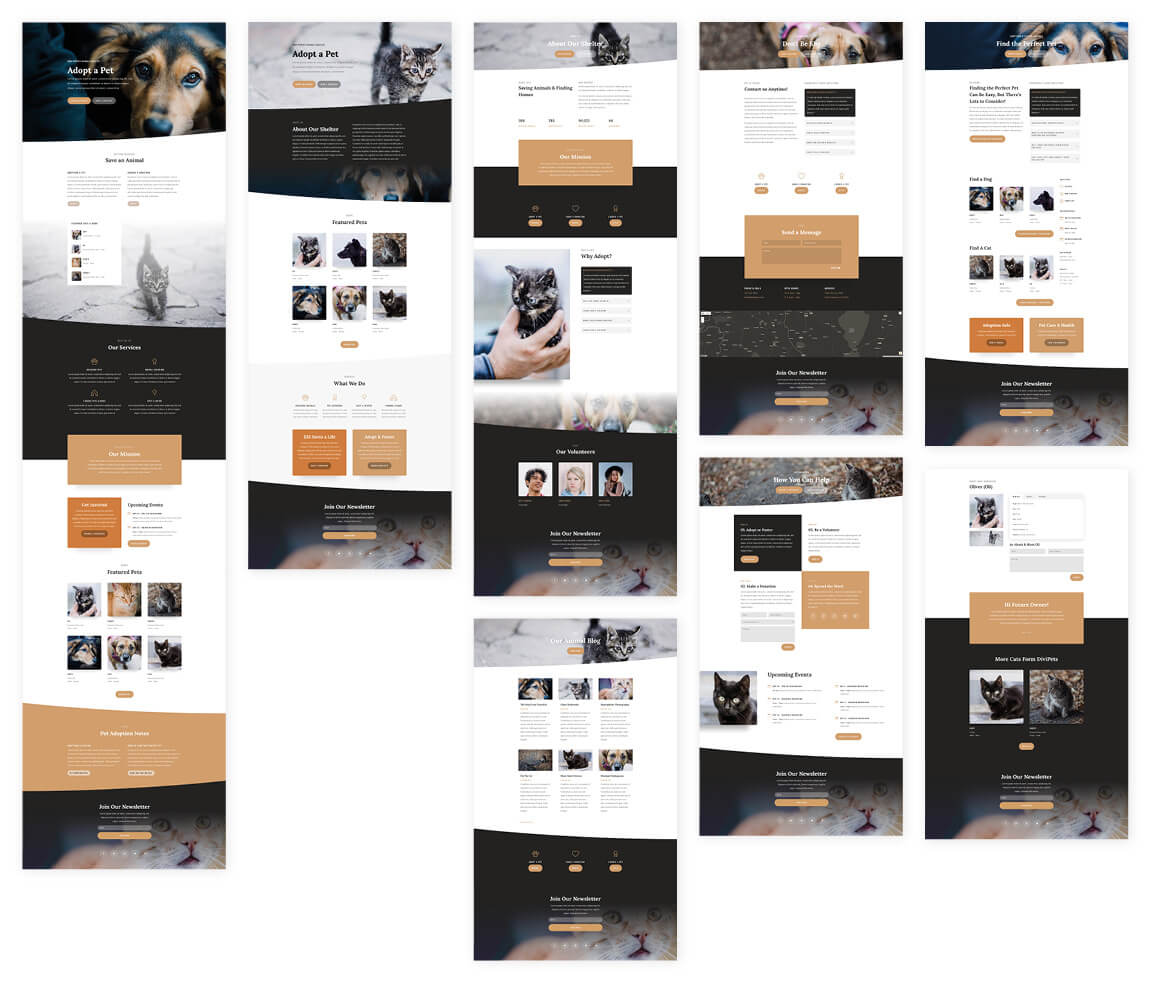 Free Animal Shelter Layout Pack for Divi